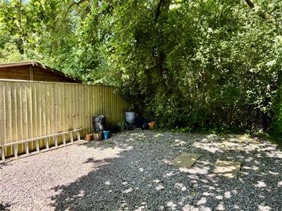 Picture 21
